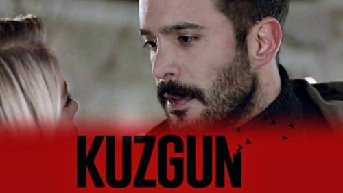 Kuzgun serie turca